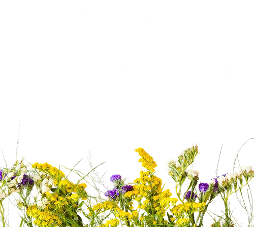 Чистота и безопасность